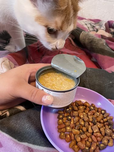 Customer photo review of Tuna & Salmon Recipe Flaked Dinner In Broth Adult Cat Food, 2.8-oz, Case of 12