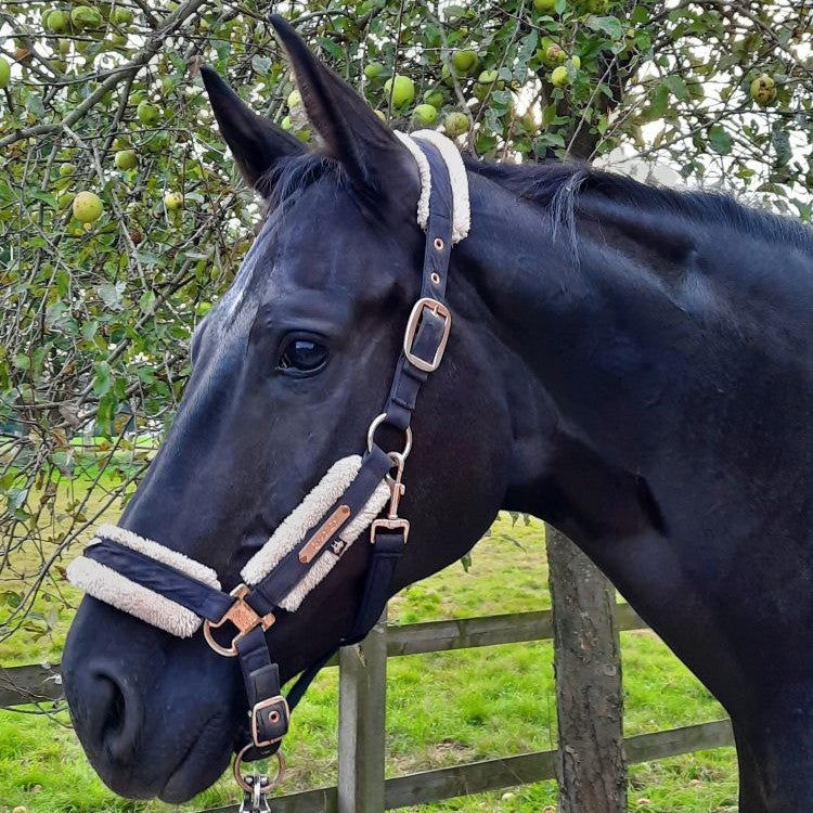 Customer photo review of Kristallkraft Brave Horse