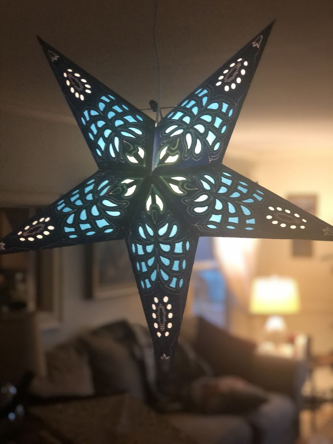 Customer photo review of 24" Blue Monarch Glitter Paper Star Lantern, Hanging Wedding & Party Decoration
