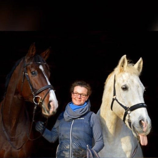 Customer photo review of Kristallkraft Brave Horse