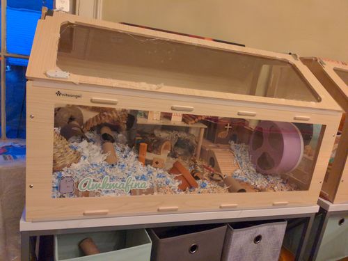 Customer photo review of Niteangel Vista Hamster Cage W/ Oblique Opening - MDF Aspen Small Animal Cage for Syrian Dwarf Hamsters Degus Mice or Other Similar-Sized Pets