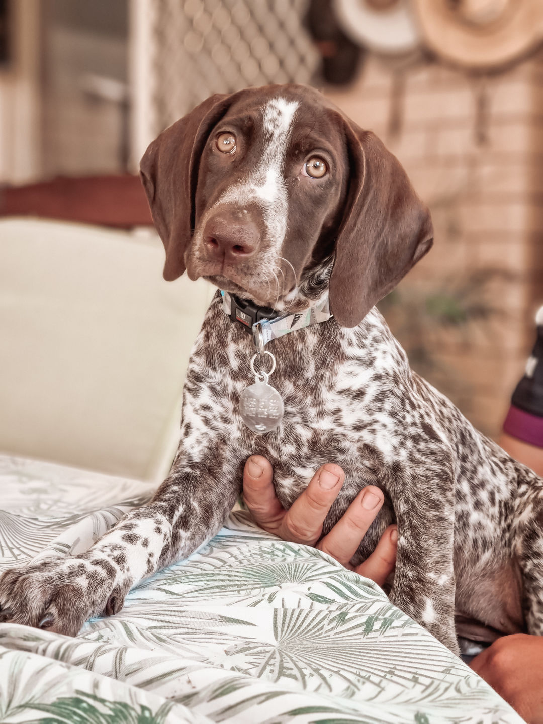 Customer photo review of CREAMY LIGHTROOM PRESETS