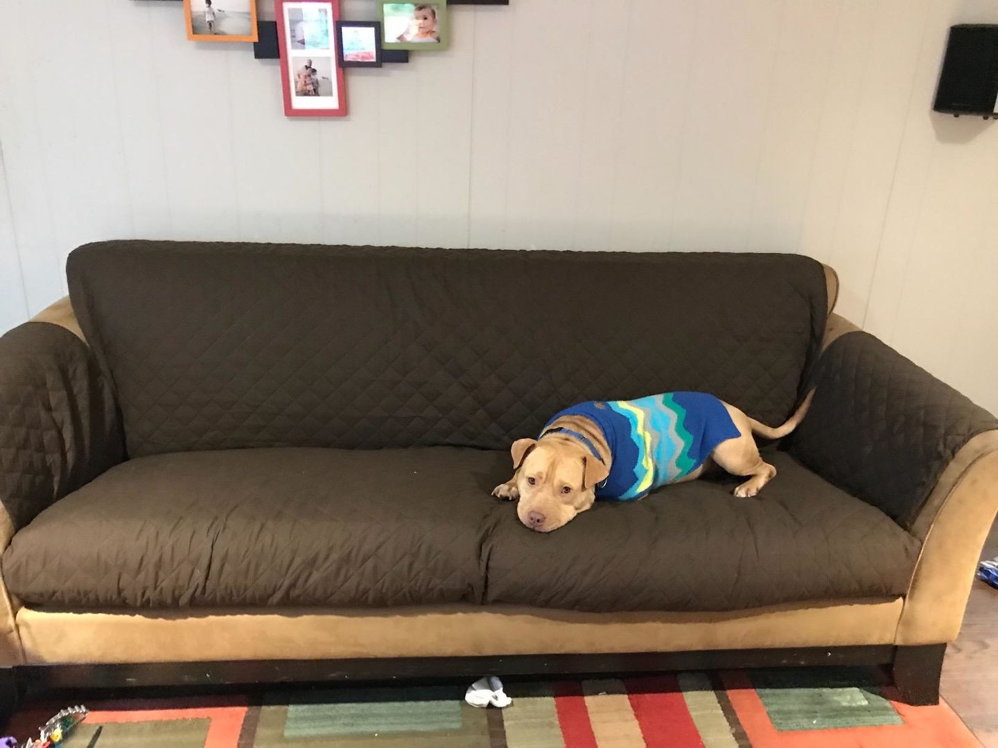 Customer photo review of (🎁Mother's Day Offer-55% OFF) Non-slip Waterproof Sofa Slipcover