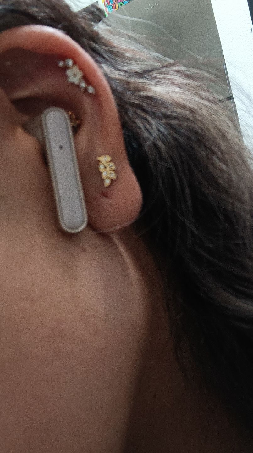 Customer photo review of Piercing Hojita de Laurel Rosca Plana