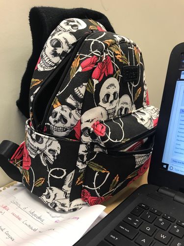 Customer photo review of Travel Skull Backpack