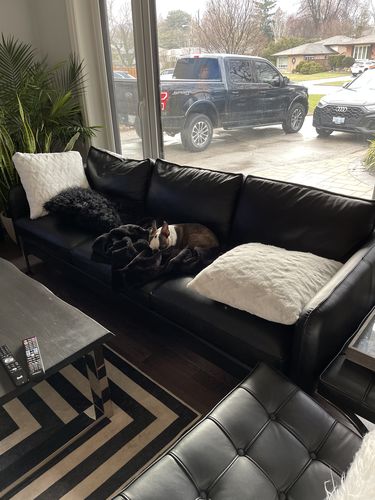 Customer photo review of Finn Sofa – 91”