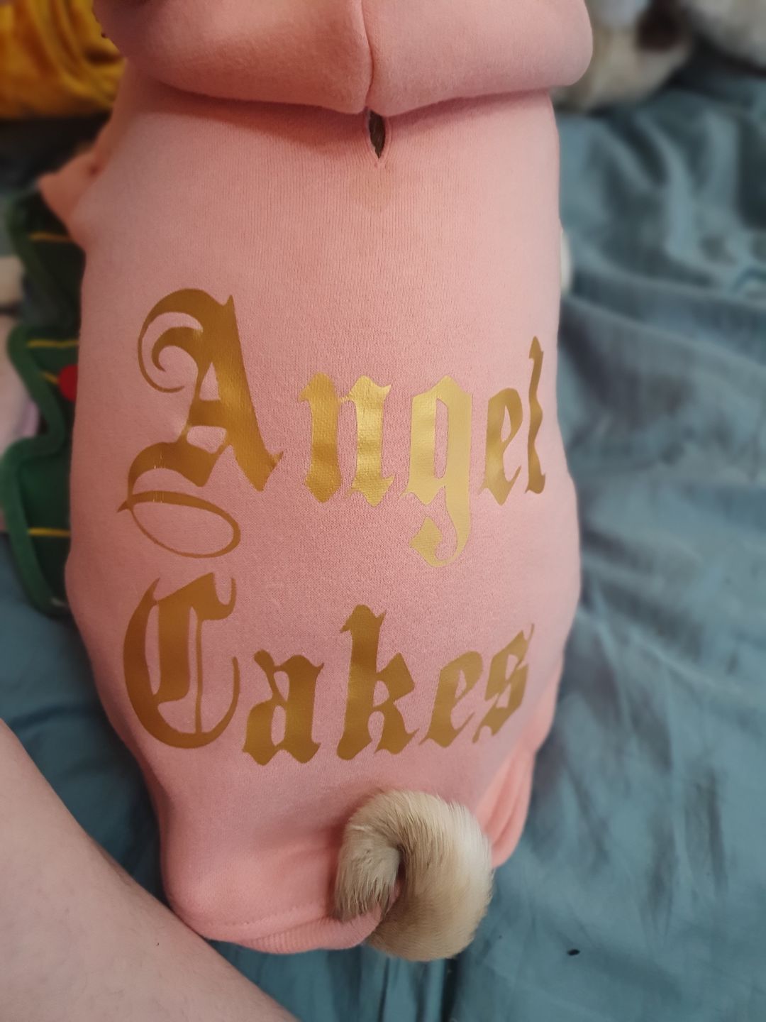 Customer photo review of Gangsta Yapper Dog Hoodie - Personalised
