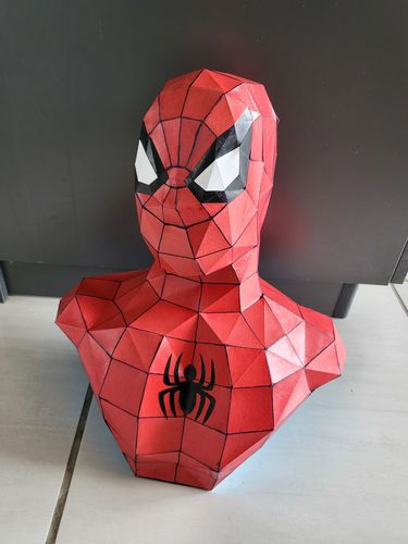 Customer photo review of Patrons Buste Spiderman (pdf)