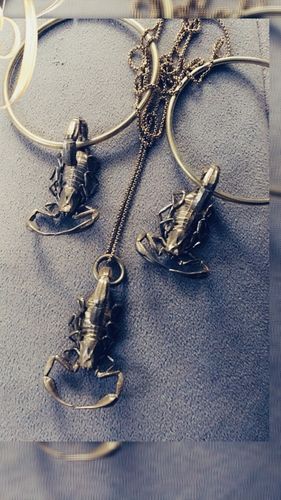 Customer photo review of Scorpion Pendant | Brass
