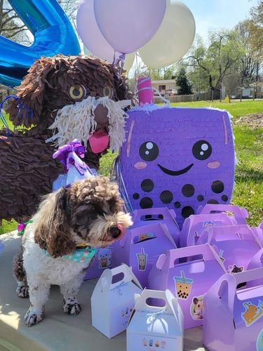 Customer photo review of Custom Order for Cid