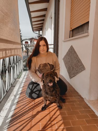 Customer photo review of Portrait Only Pet Custom Sweater