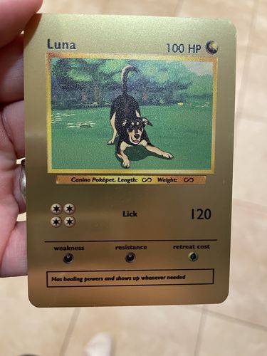 Customer photo review of Pokepet