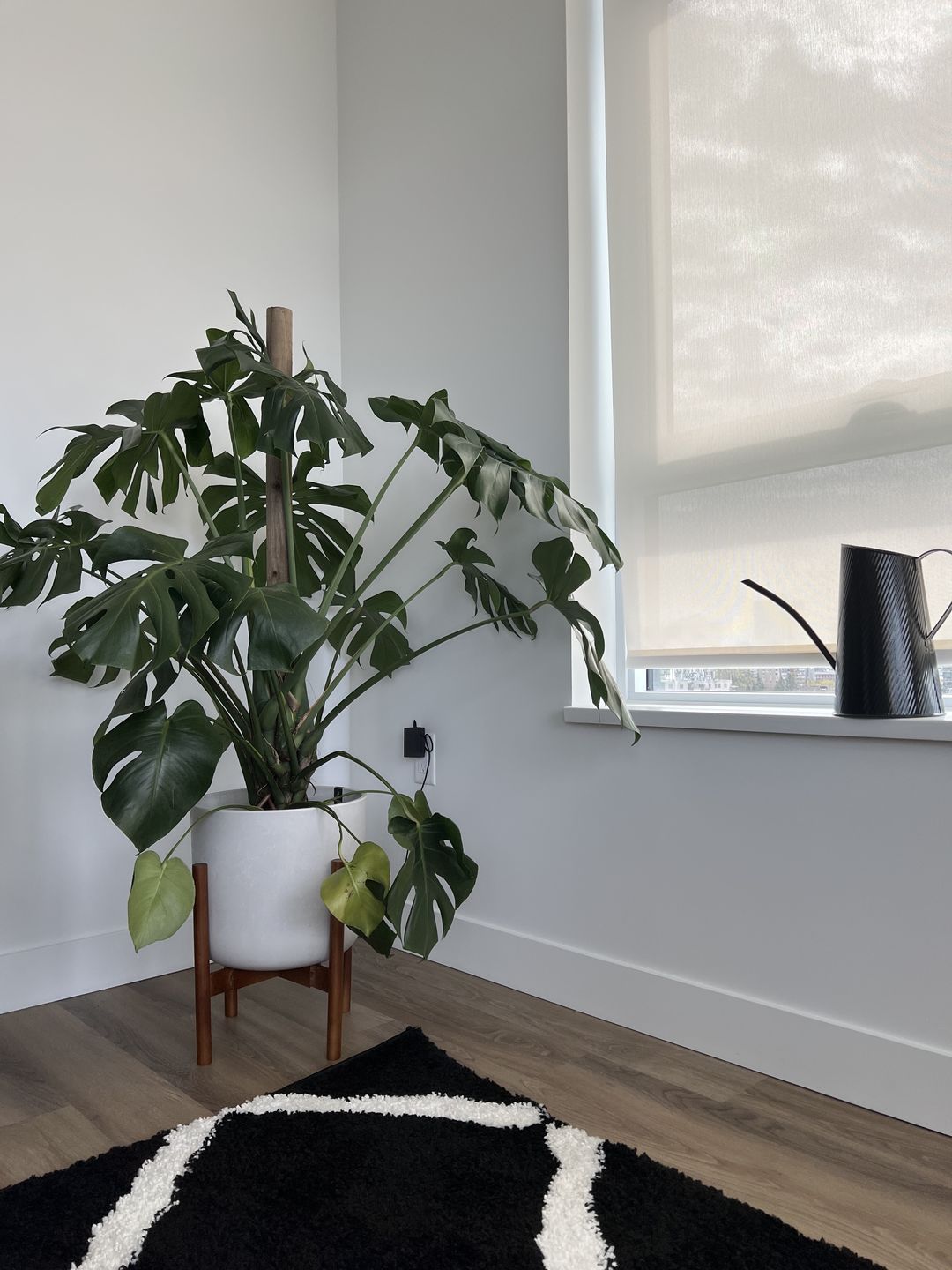 Customer photo review of 12” Signature Stone Planter