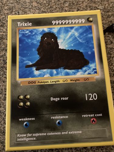 Customer photo review of Product options