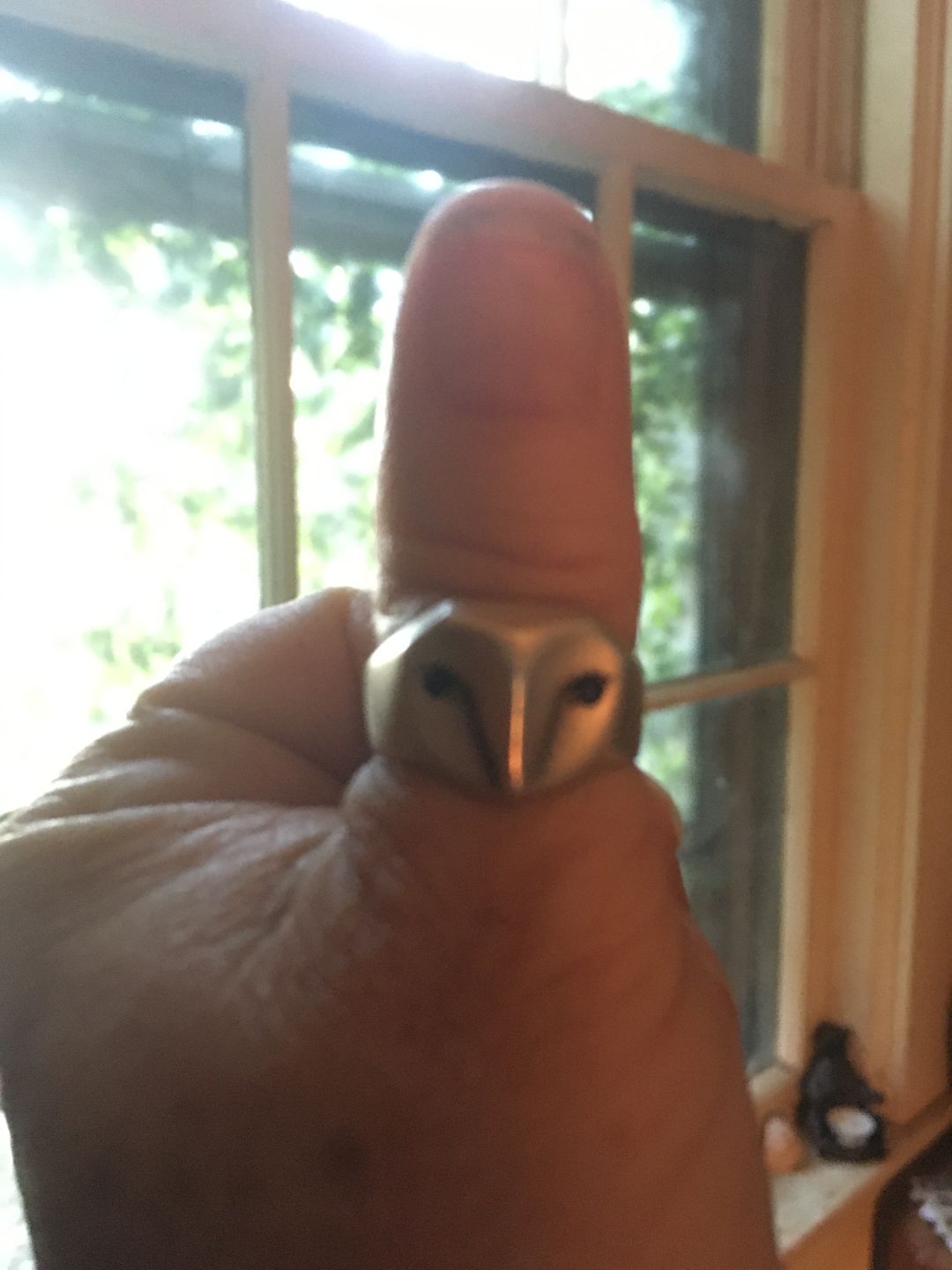 Customer photo review of Owl Ring with Sapphire Eyes