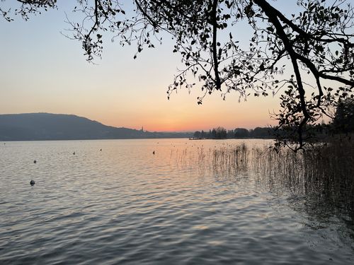 Customer photo review of Ralph Lauren- Polo (S)