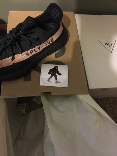 Customer photo review of Adidas Yeezy Boost 350 V2 'Core Black Copper'