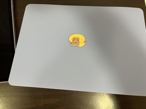 Customer photo review of Matte Lavender - Macbook Case -  Macbook Air Pro  13" inch  + Free Keyboard Cover