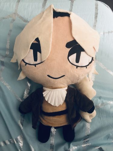 Customer photo review of Turn Drawings into Plushies