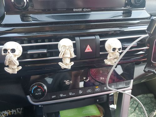 Customer photo review of Just Love Skulls Car Clips