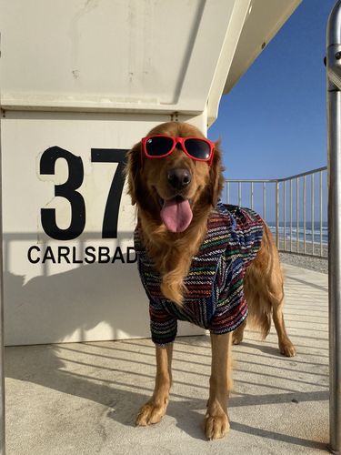 Customer photo review of Playa Poncho