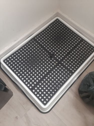 Customer photo review of Weasy Cão