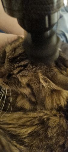 Customer photo review of ELEKJACK® Massagegun + 6 Aufsätze & Tragetasche