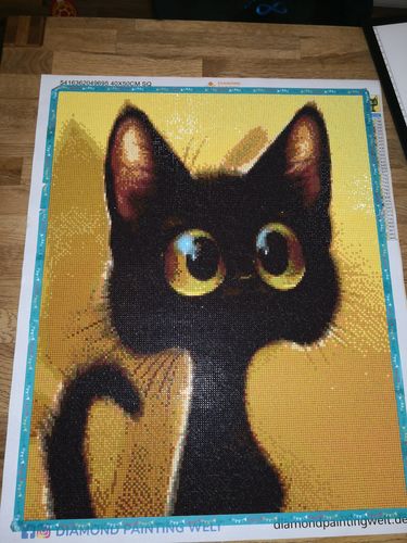 Kundenbewertung mit Foto zu Verängstigter Kater