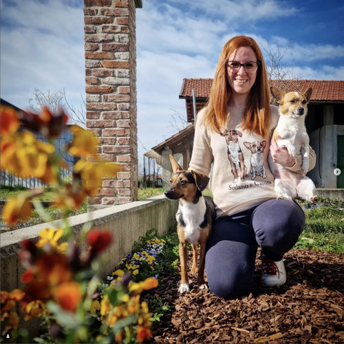 Customer photo review of Full-Body Pet Custom Sweater
