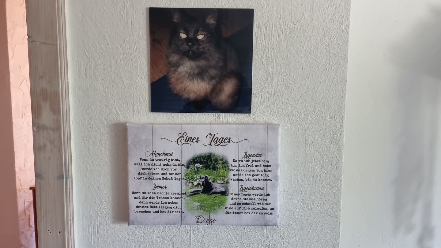 Customer photo review of Eines Tages - Individuelle Leinwand
