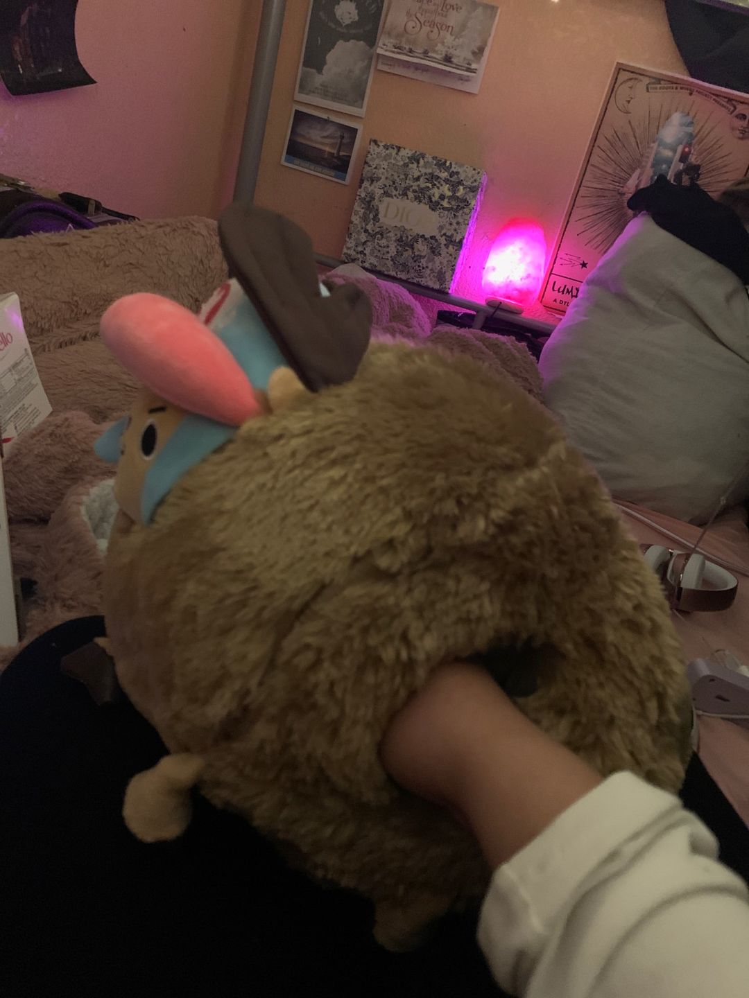 Customer photo review of Chopper Guard Point - Plush Doll
