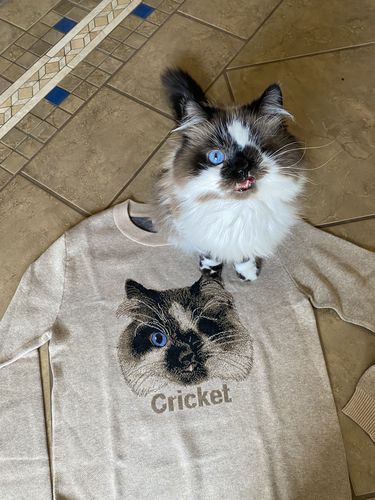 Customer photo review of Full-Body Pet Custom Sweater