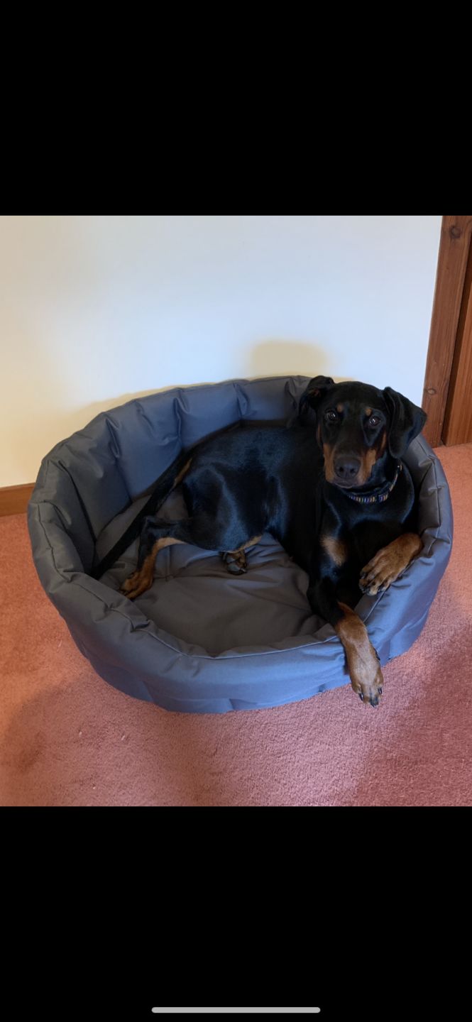 Customer photo review of Country Dog Heavy Duty Oval Waterproof Bed