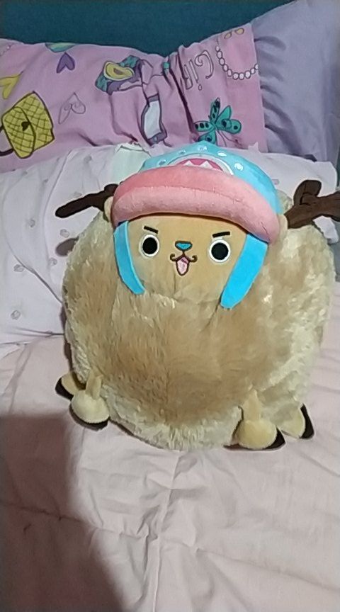 Customer photo review of Chopper Guard Point - Plush Doll