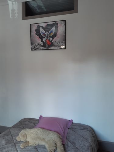 Customer photo review of "Child of peace" - limitée à 150 exemplaires