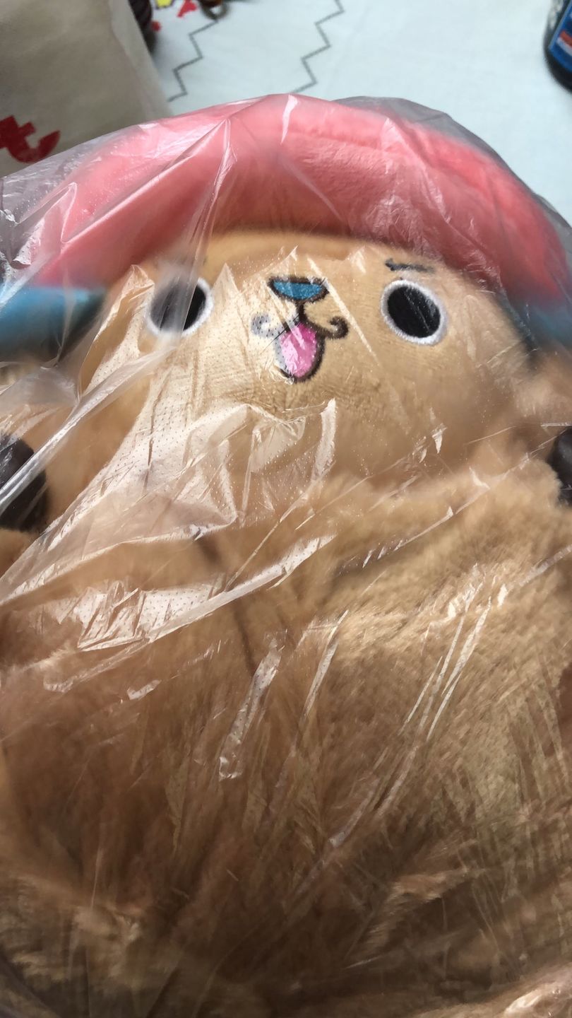 Customer photo review of Chopper Guard Point - Plush Doll