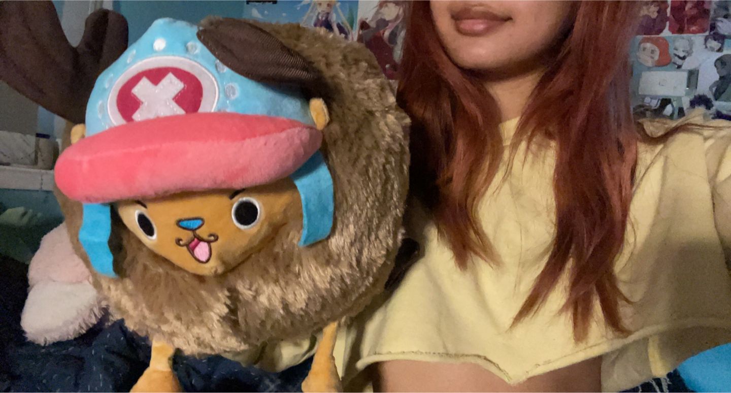 Customer photo review of Chopper Guard Point - Plush Doll