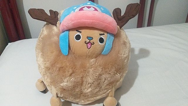 Customer photo review of Chopper Guard Point - Plush Doll