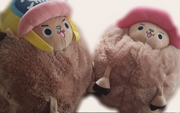 Customer photo review of Chopper Guard Point - Plush Doll