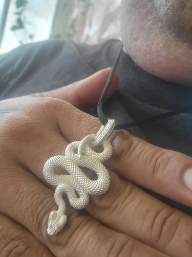 Customer photo review of Silver Snake Pendant