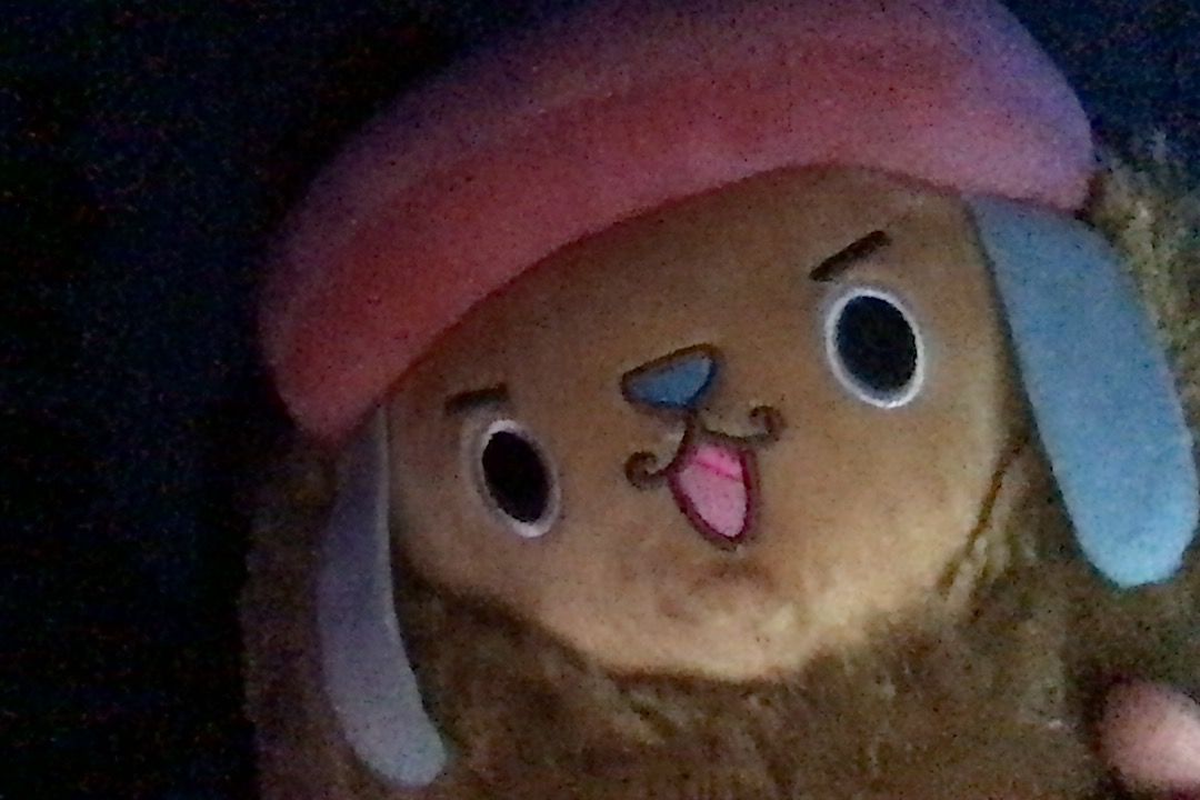 Customer photo review of Chopper Guard Point - Plush Doll