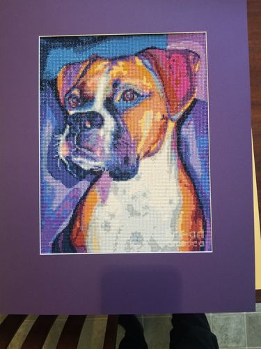 Customer photo review of American Diamond Art Boxer Colors Diamond Painting PL00340