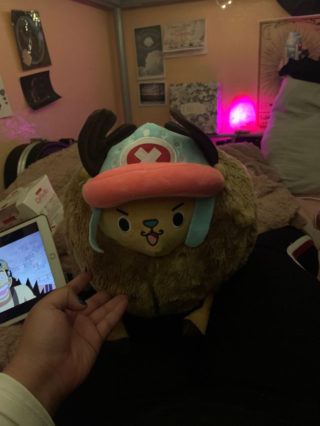 Customer photo review of Chopper Guard Point - Plush Doll