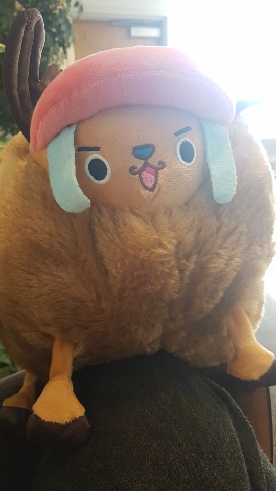Customer photo review of Chopper Guard Point - Plush Doll