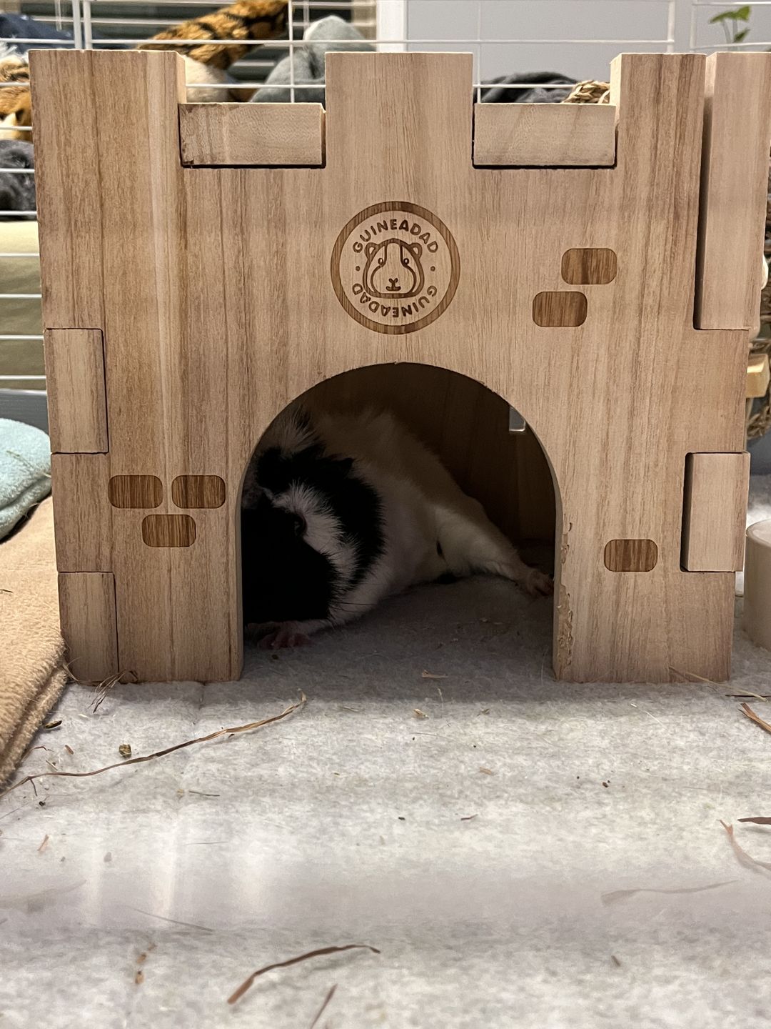 Customer photo review of GuineaDad Queen's Castle