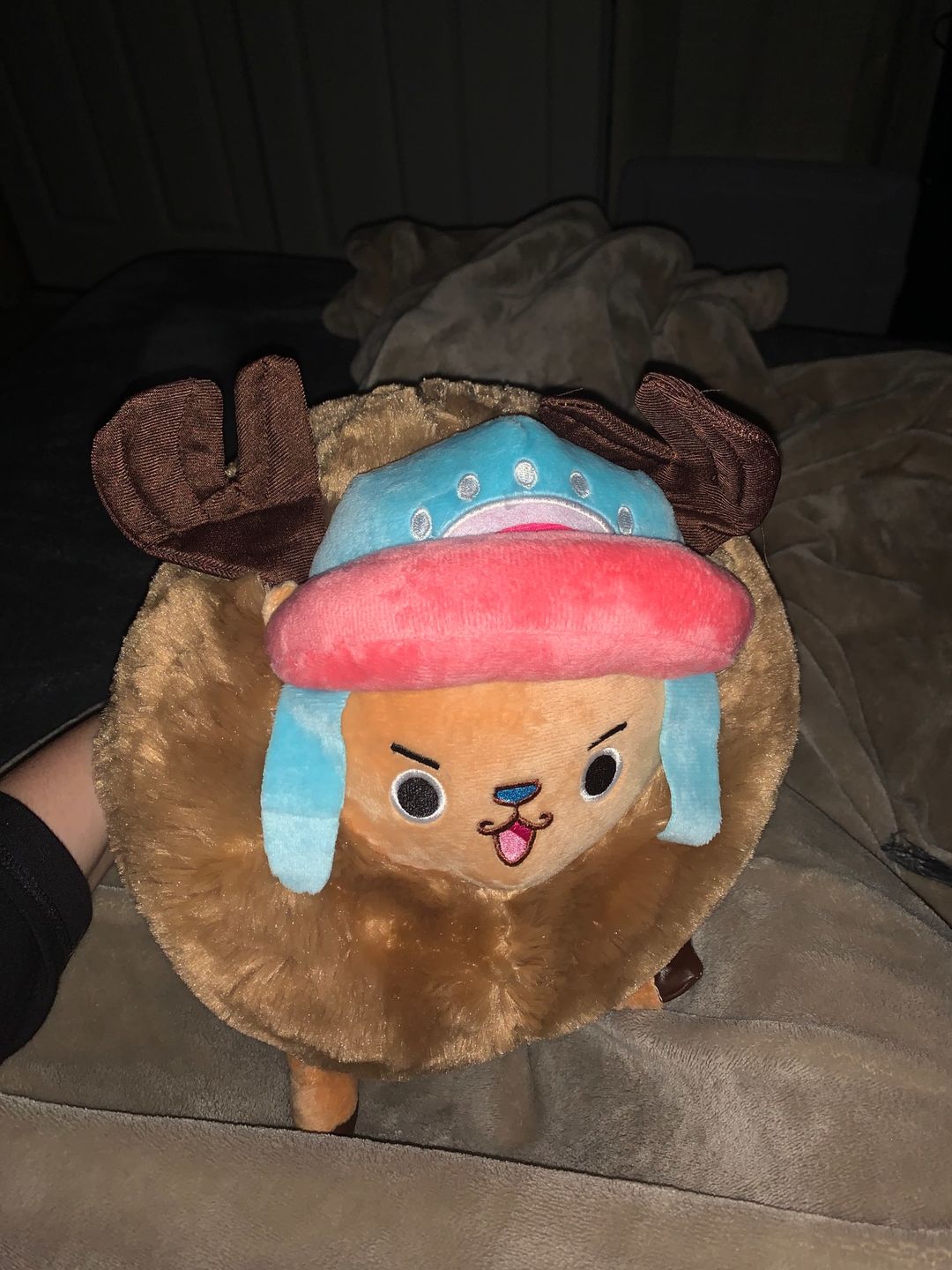 Customer photo review of Chopper Guard Point - Plush Doll