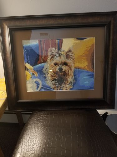 Customer photo review of American Diamond Art Yorkie Art Diamond Painting PL01236