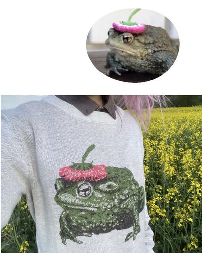 Customer photo review of Full-Body Pet Custom Sweater