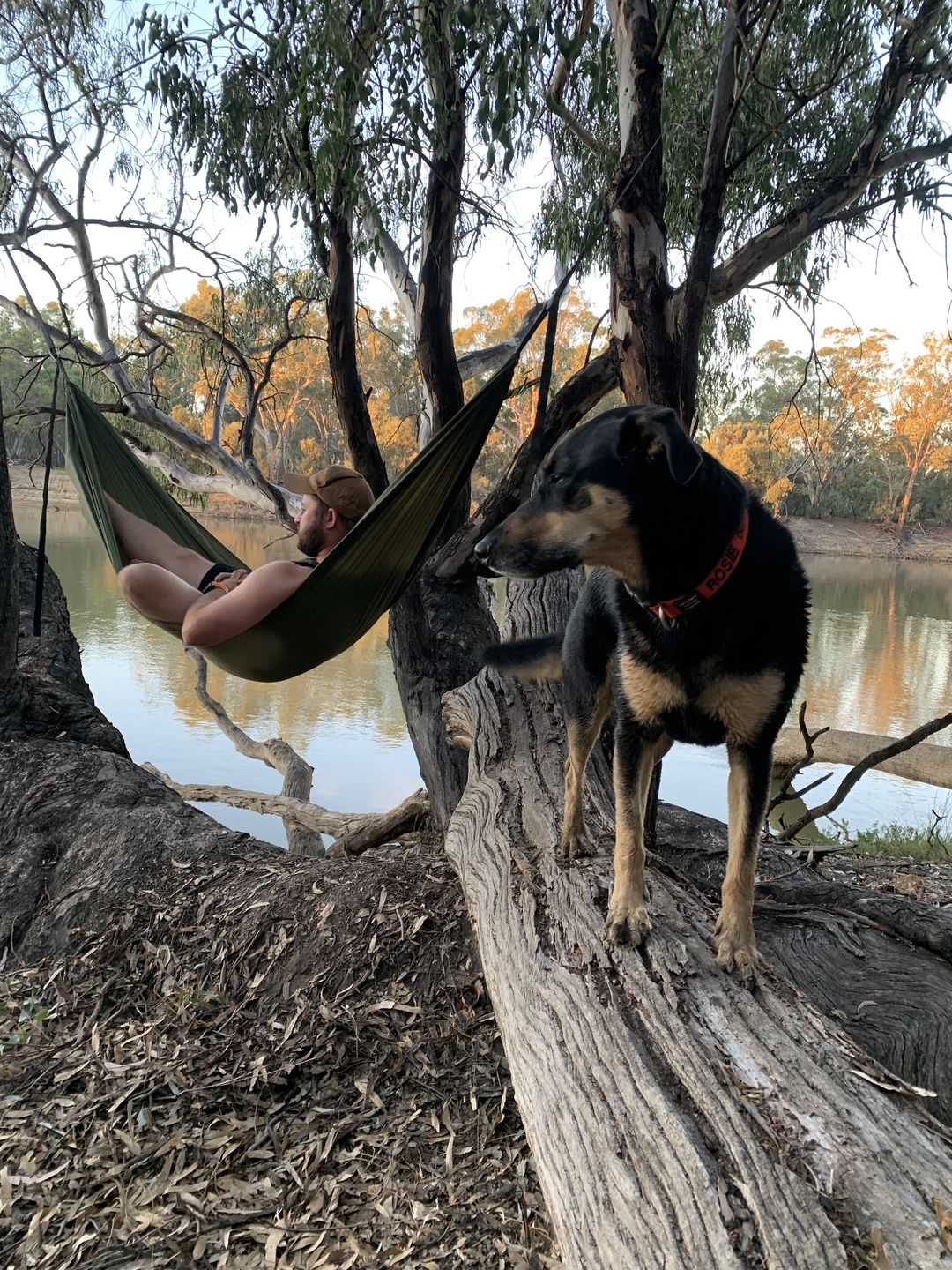 Customer photo review of Ultralight Hammock Set