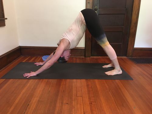 Customer photo review of Toluca Rib Tank - Rosey